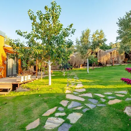 Joy Glamping