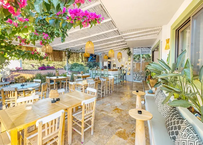 Joy Glamping Κάμπινγκ