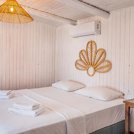 Kamp alanı Joy Glamping