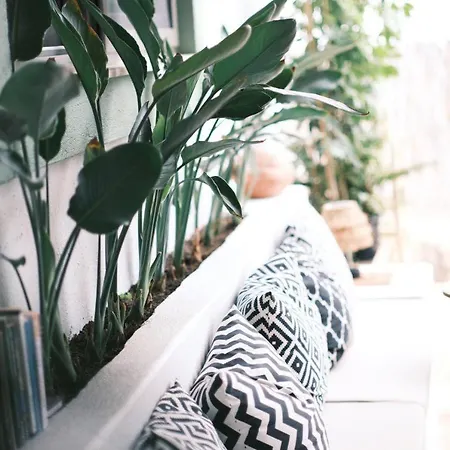 Joy Glamping Kemping