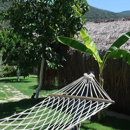 Joy Glamping *