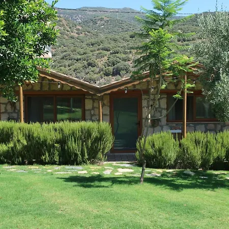 Kamp alanı Joy Glamping