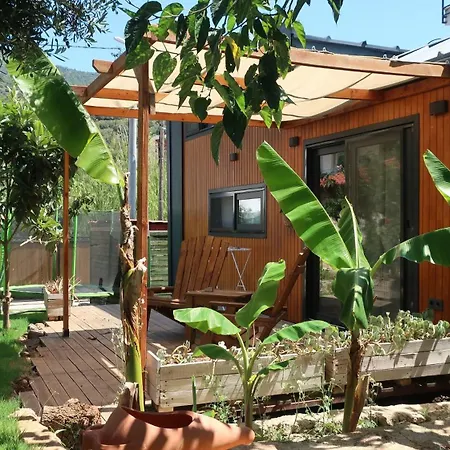 Joy Glamping * Kaş