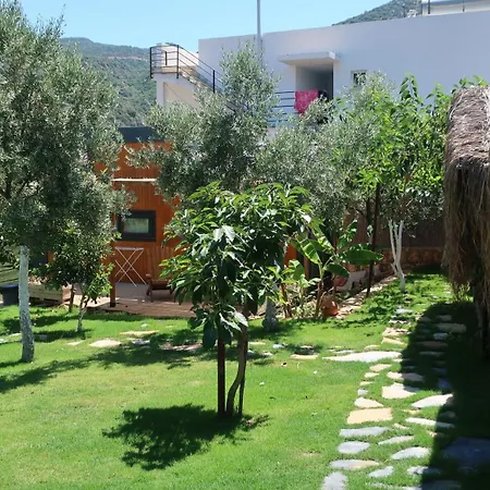 Joy Glamping *