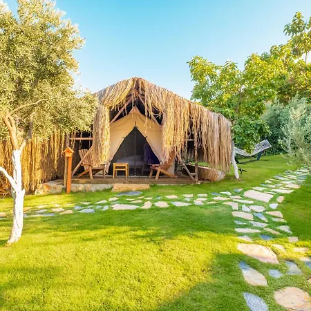 Kamp alanı Joy Glamping *