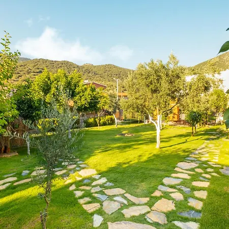 Kamp alanı Joy Glamping *