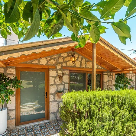 Joy Glamping Kamp alanı