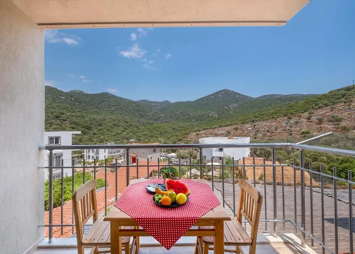 Joy Glamping カシュ