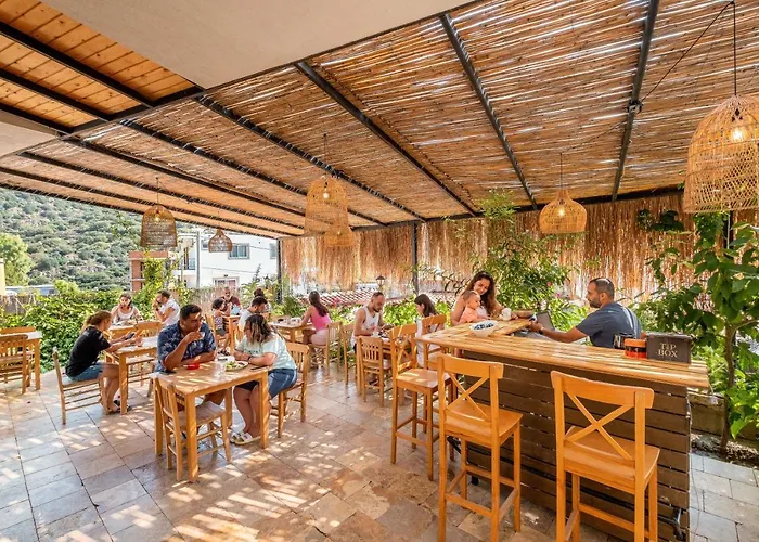 Joy Glamping キャンプ場 カシュ