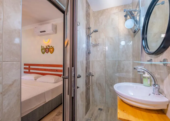 Joy Glamping キャンプ場 カシュ