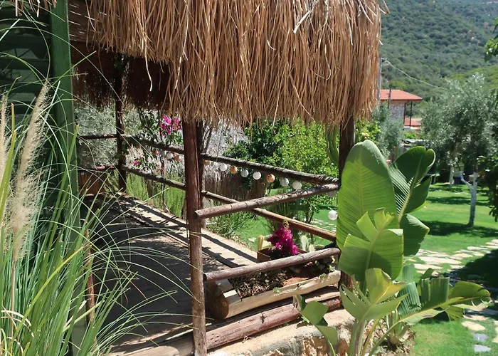 Joy Glamping キャンプ場 カシュ