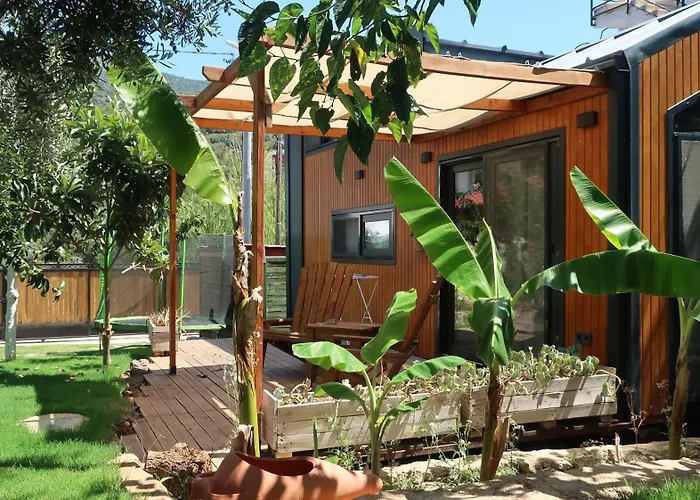 Joy Glamping * カシュ